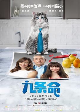 比基尼猫娘泳衣跳舞视频